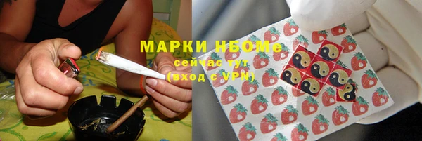 индика Зерноград