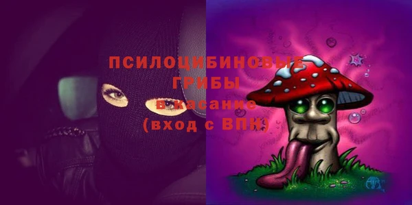 прущие крисы Зеленодольск