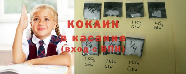 индика Зерноград