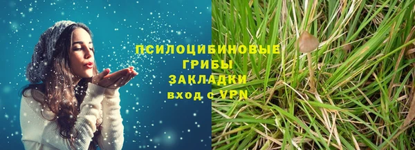индика Зерноград