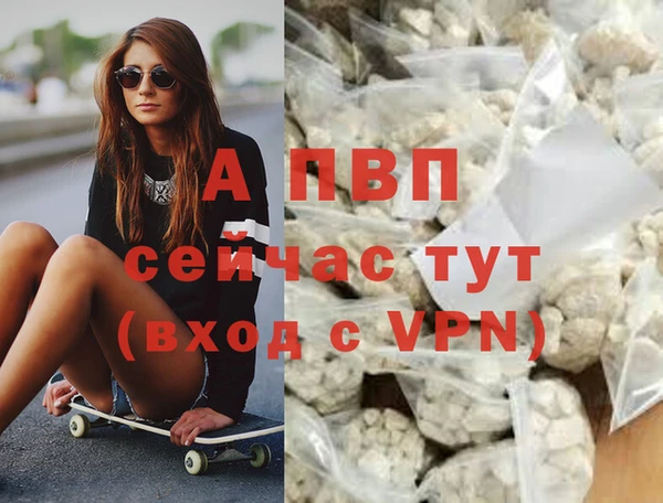 индика Зерноград