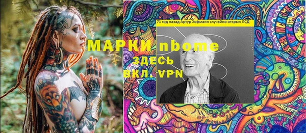 индика Зерноград
