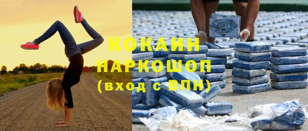 сатива Зеленокумск