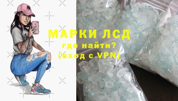сатива Зеленокумск