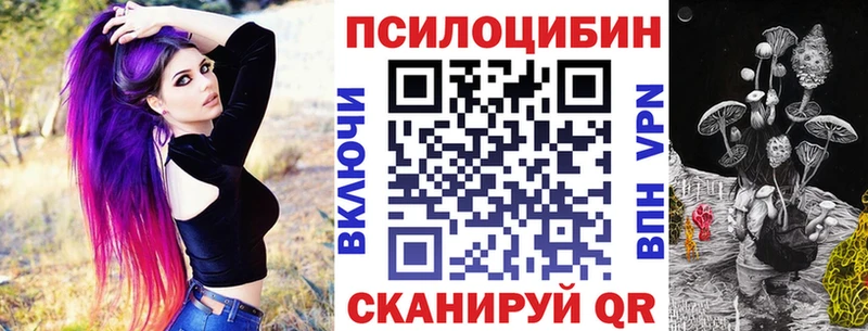 Купить где Сычёвка Псилоцибиновые грибы Psilocybine cubensis